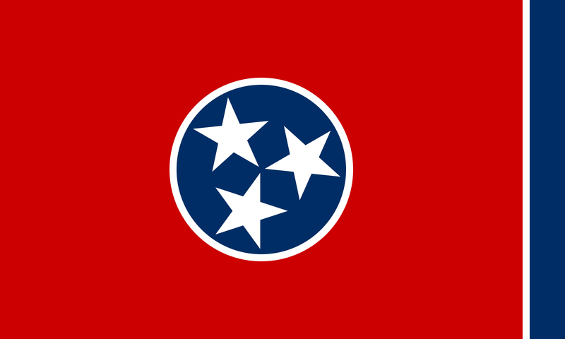 File:Tennessee state flag.png