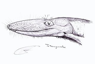 <i>Tetracynodon</i> genus of mammals (fossil)