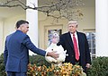 「バター」という名前の七面鳥に恩赦を与えるドナルド・トランプ大統領 2019年11月26日