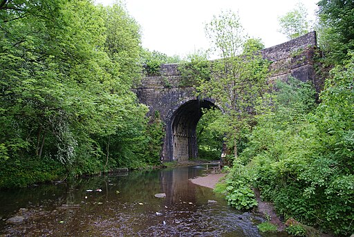 The River Medlock is crossed by the Hollinwood Branch Canal - geograph.org.uk - 1890619