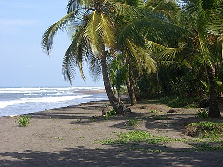 The beach near Tortuguero village
