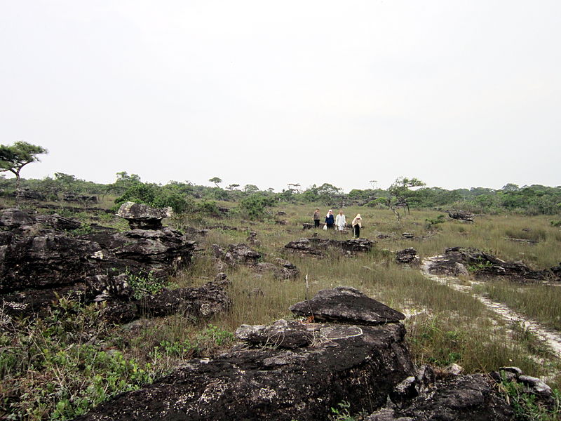 File:Trên đỉnh núi Bokor.jpg