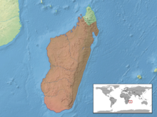 Trachylepis gravenhorstii Distribution.png