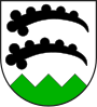 Trimmis wappen.svg