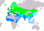 Tringa totanus – Verbreitung