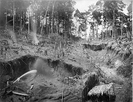 Deforestation in Suriname c.1880–1900