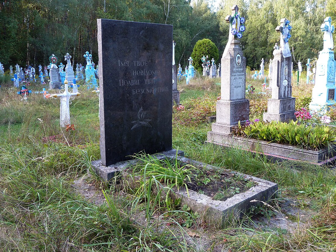 File:Trubky Ivanychivskyi Volynska-grave of the unknown soviet warrior-2.jpg