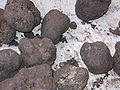 Truffles from Mont Ventoux