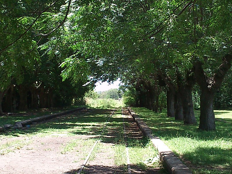 File:Tunel de Arboles, Villars - panoramio.jpg