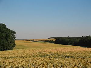 Ein Feld in der Uckermark im/am Naturschutzgebiet Eulenberge in der Nähe von Potzlow Abbau. (2006)