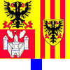 Antwerp (old unofficial banner of arms)