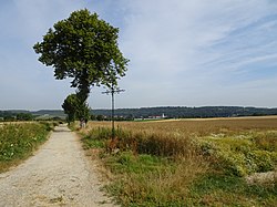 Vaudringhem croix de chemin sur le GR 121B