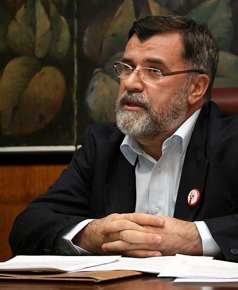 File:Veran Matić, novembar 2011 crop.JPG