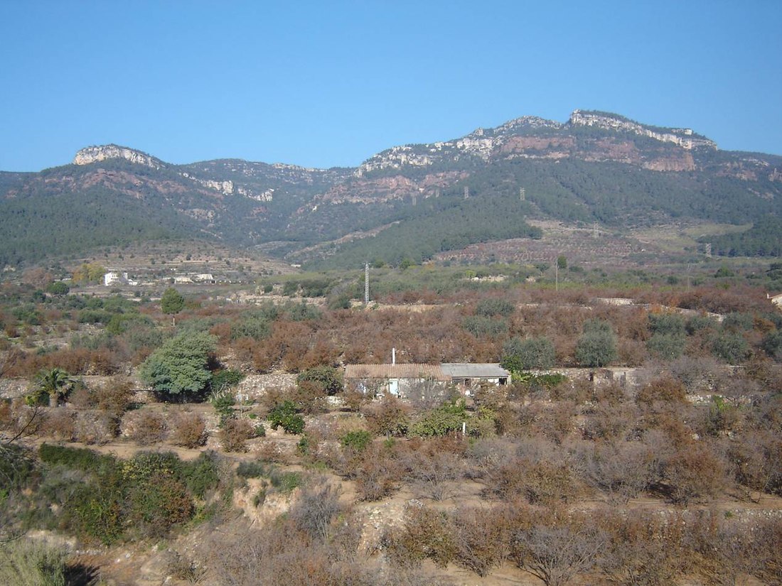 Serra de la Mussara