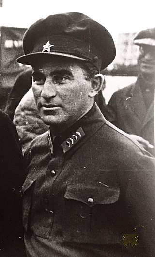 <span class="mw-page-title-main">Vladimir Polonsky</span> Soviet politician (1893–1937)