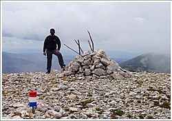 Vran planina-vrh.jpg