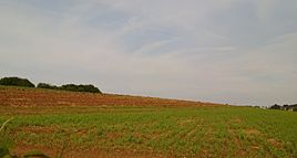 Approximate location of the desert south of the park cemetery