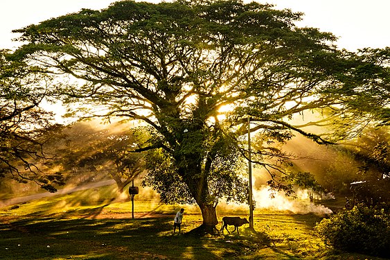 Sunset scene at Zamboanga City, Philippines. Photograph: Froilan Robas