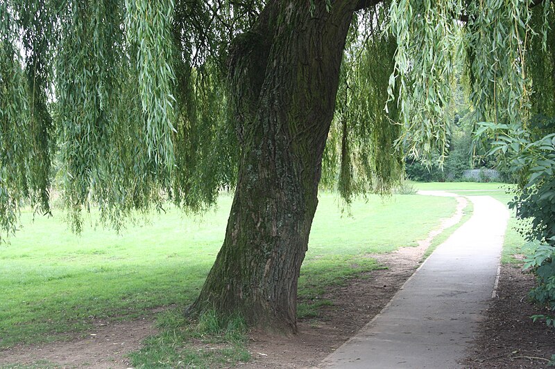 File:WTC Phil Radbourne WarMemorialPark.JPG