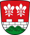Gemeinde Birgland In Rot über grünem Fünfberg eine silberne Quadermauer mit zwei Zinnen, darüber zwei silberne heraldische Lilien.