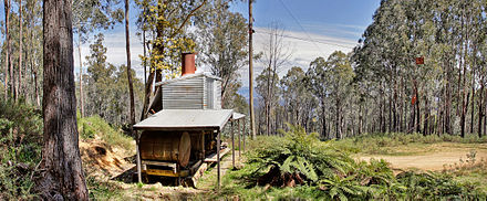 The Washington Iron Works Skidder in Nuniong is the only one of its kind in Australia, with donkey engine, spars, and cables still rigged for work.