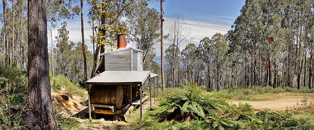 The Washington Iron Works Skidder in Nuniong is the only one of its kind in Australia, with donkey engine, spars, and cables still rigged for work.