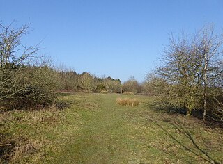 <span class="mw-page-title-main">West Park, Uckfield</span> Nature reserve
