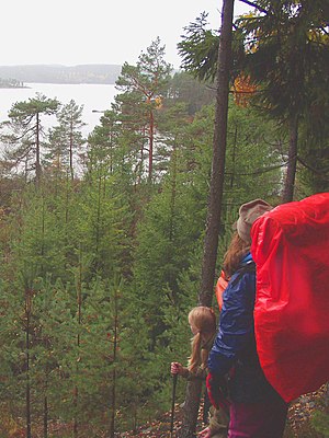 Wildnis: Begriffsgeschichte, Abgrenzung zu den Kulturlandschaften, Definitionen von Wildnis im Sinne des Naturschutzes