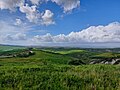 * Nomination Panorama from Monte Oliveto and Crete di Asciano - Siena --Anna.Massini 18:56, 14 July 2023 (UTC) * Promotion  Support Level of detail just acceptable for a QI, but I see a nice composition. --Terragio67 07:51, 15 July 2023 (UTC)