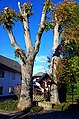 Wayside cross and three old linden trees