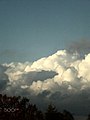 Wolken über Den Bäumen Mit Blauem Himmel (182983355).jpeg