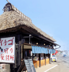 Entrance to Yoshimura Strawberry Park (pick your own strawberries)