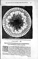 "De metaphysico macrosmi...ortu", Fludd, 1617 Wellcome L0016158.jpg