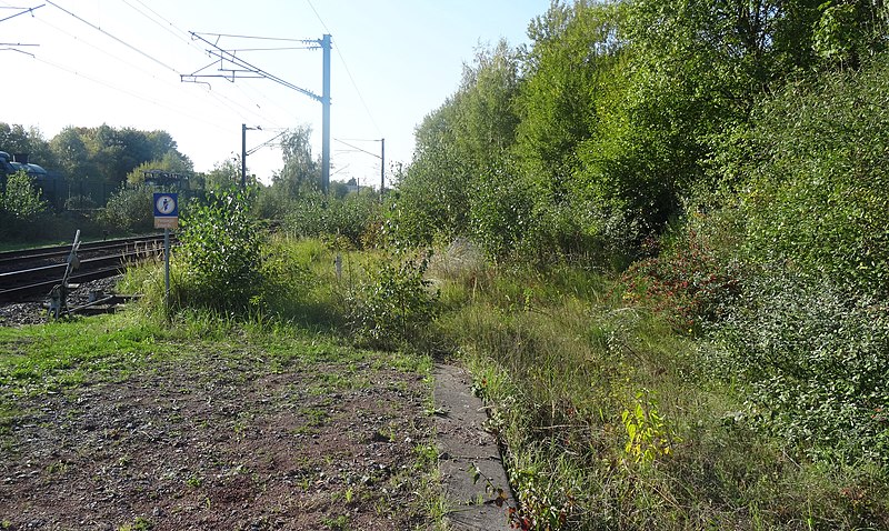 File:État de la section d'Orchies à Ascq de la ligne de Somain à Halluin au 15 octobre 2017 (385, gare d'Ascq).JPG