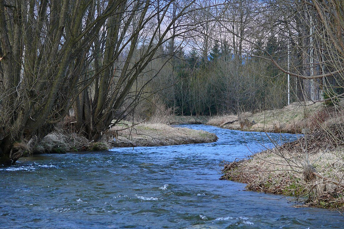 Łomnica (suba sa Polskowa)