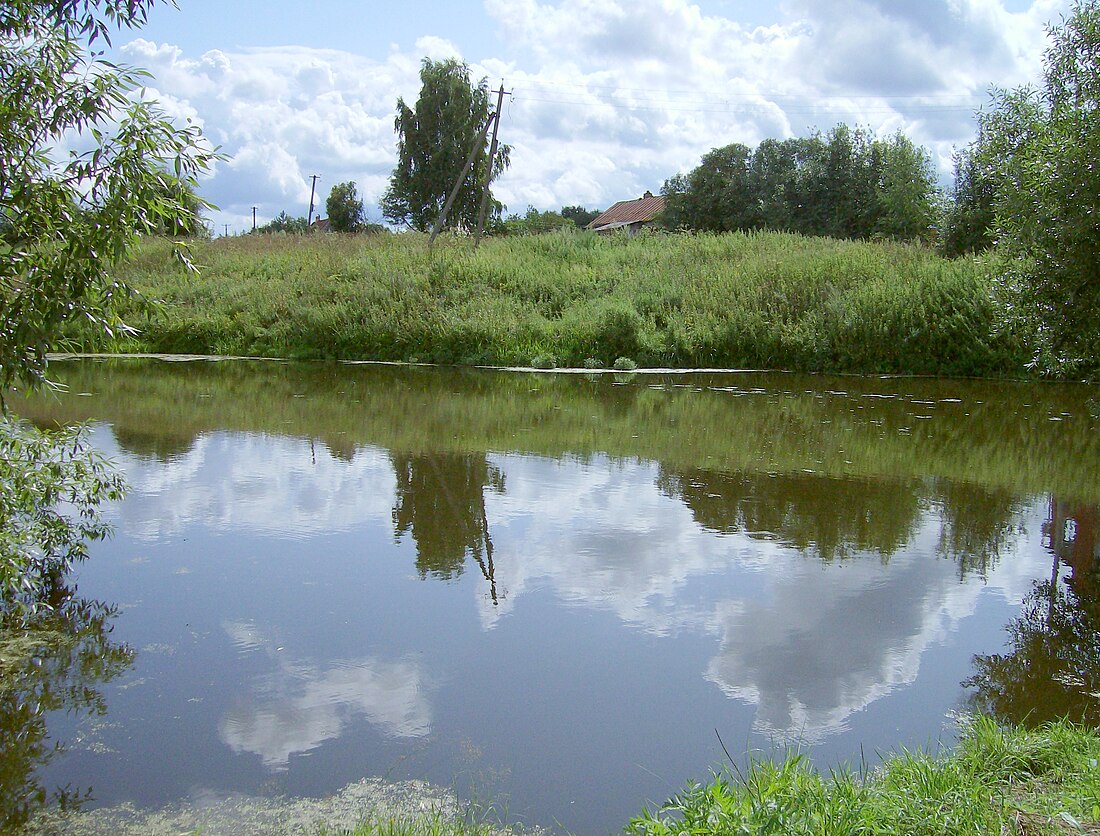 Буньково (Ступинский район)