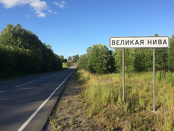 Село нива. Великая Нива. Великая Нива Карелия. Деревня Великая Нива. Деревня Великая Нива Медвежьегорского района.