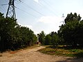 Вигляд від перехрестя з Низинною в сторону Кондратюка/Самарської (2013)
