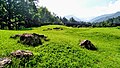 きながし公園 らくだ山