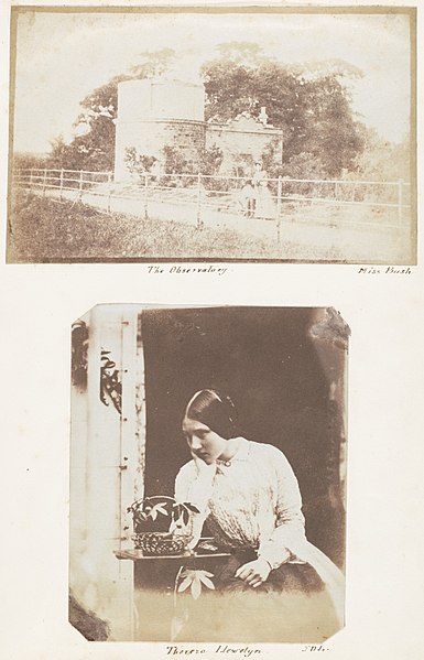 File:-Emma Charlotte Dillwyn Llewelyn's Album- MET DP143472.jpg