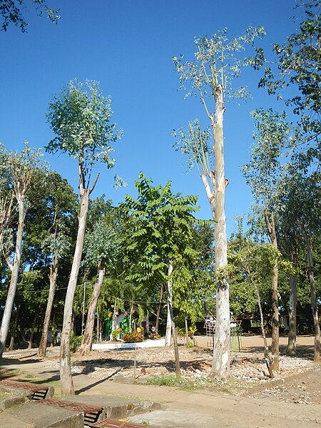 File:06057jfBarangay Tuyo Upper Rosario Seminary Balanga City Bataanfvf 10.JPG