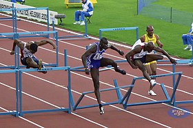 سباق 110 متر حواجز في بطولة العالم لعام 2005
