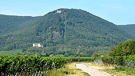 180829-Blaettersberg-02.jpg