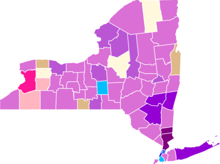 Democratic primary results by county Ottinger:      30–50%      50–70%      70–80% O'Dwyer:      30–40%      40–50%      50–60% Sorensen:      30–40%      40–50% McCarthy:      30–40%      60–70%