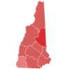 Tahun 1990 Amerika Serikat Senat pemilihan di New Hampshire hasil peta oleh county.svg