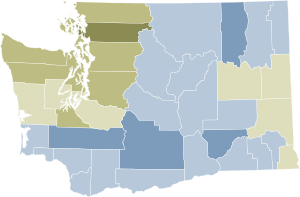 2006 Washington initiative 933 results.svg