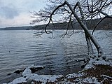 Deutsch: Tornowsee, nahe Campingplatz