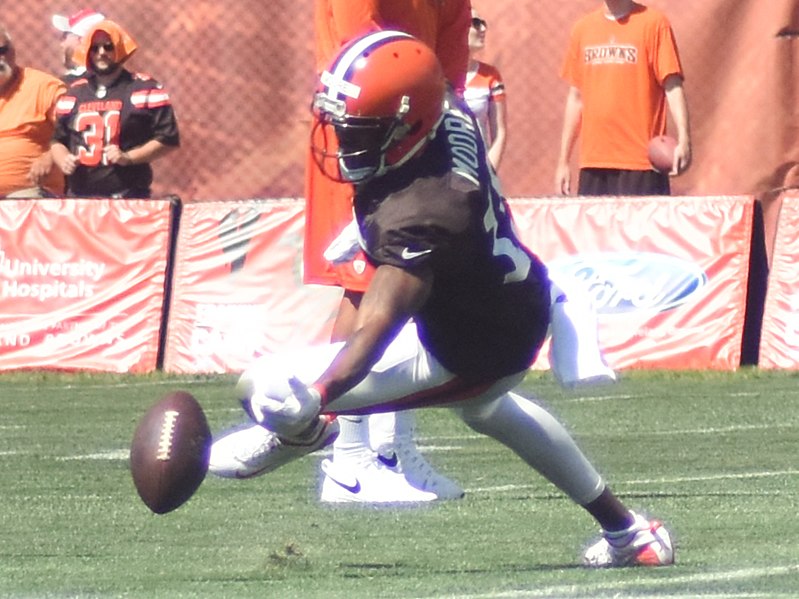 File:2015 Cleveland Browns Training Camp (20058975610).jpg