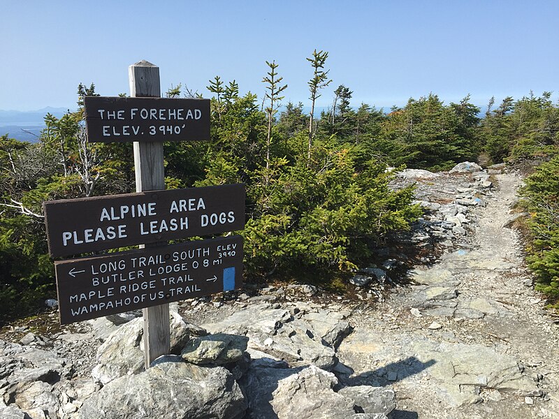 File:2017-09-11 12 09 31 View west along the Maple Ridge Trail at the junction with the Long Trail on the Forehead of Mount Mansfield within Mount Mansfield State Forest in Stowe, Lamoille County, Vermont.jpg