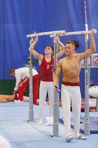 File:5th Budapest Cup 2019-05-25 Benedek Tomcsányi, Krisztián Balázs (Norman Seibert) - 03826.jpg